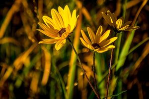 Image post by @mike_cahill_jpg on Instagram