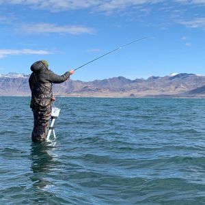 Image post by @meateater on Instagram