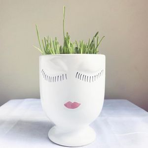 Image post by @theamandabittner on Instagram