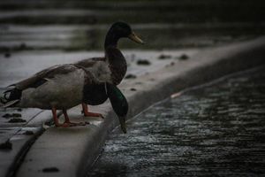 Image post by @photographer.cotton on Instagram
