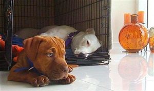 Image post by @manningsumner on Instagram