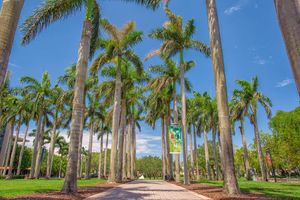 Image post by @univmiami on Instagram
