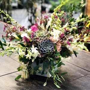 Image post by @shopbachmans on Instagram