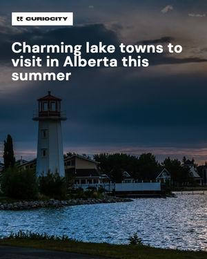 Image post by @curiocitycalgary on Instagram