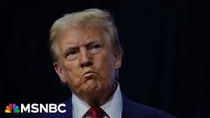 Video post by @msnbc on YouTube