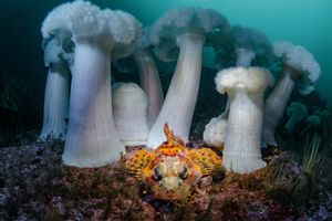 Image post by @natgeo on Instagram