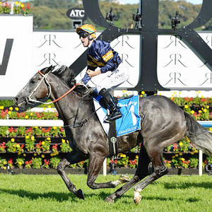 Image post by @australianturfclub on Instagram