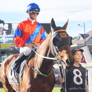Image post by @australianturfclub on Instagram