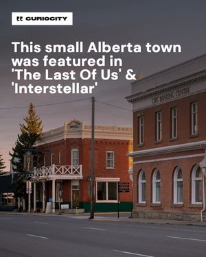 Image post by @curiocitycalgary on Instagram