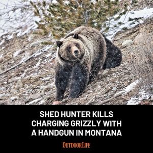 Image post by @outdoor_life on Instagram