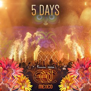 Image post by @edc_lasvegas on Instagram