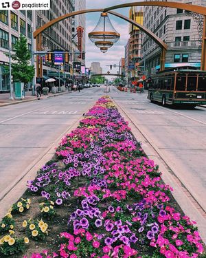 Image post by @playhousesquare on Instagram