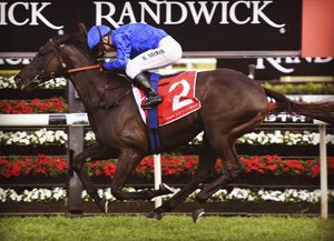 Image post by @australianturfclub on Instagram