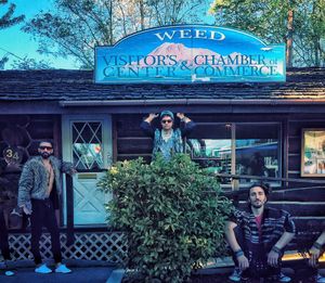 Image post by @magicgiant on Instagram
