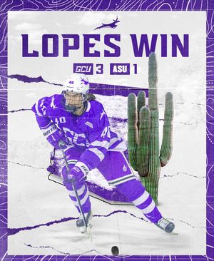 Image post by @lopeshockey on Instagram