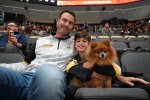 Image post by @penguins on Instagram