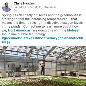 Image post by @moleaer on Instagram