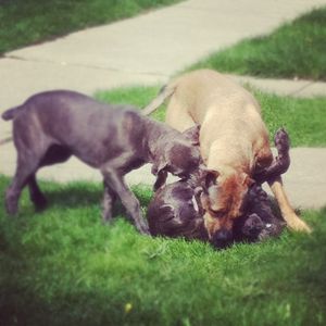 Image post by @tapekage on Instagram