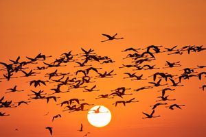 Image post by @natgeo on Instagram