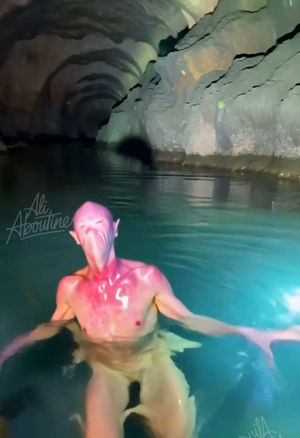 Video post by @ali.aboutine on TikTok