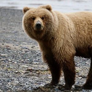 Image post by @nationalparkservice on Instagram