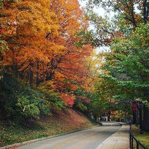 Image post by @denisonu on Instagram
