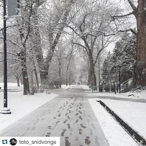 Image post by @cuboulder on Instagram