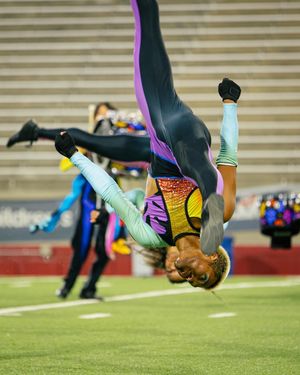 Image post by @thebluedevils on Instagram