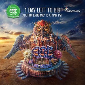 Image post by @edc_lasvegas on Instagram