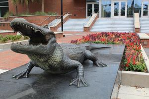 Image post by @uftoweryearbook on Instagram