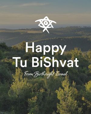 Image post by @birthrightisrael on Instagram