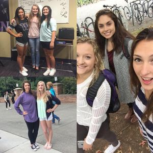 Image post by @uwgymnastics on Instagram