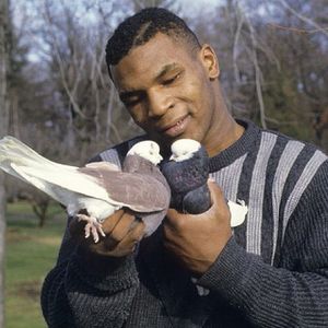 Image post by @miketyson on Instagram