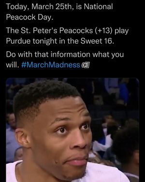 Image post by @vividpicks on Instagram