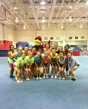 Image post by @ballstategym on Instagram