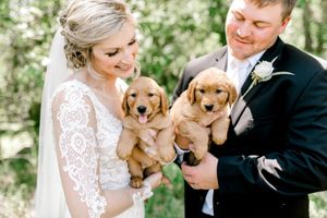 Image post by @theknot on Instagram