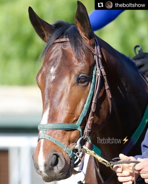 Image post by @spendthriftfarm on Instagram