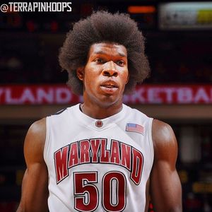 Image post by @terrapinhoops on Instagram