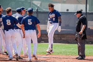 Image post by @nocoowlz on Instagram