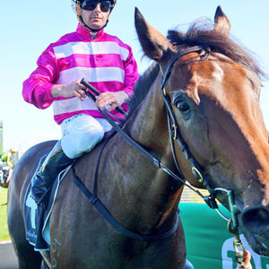 Image post by @australianturfclub on Instagram