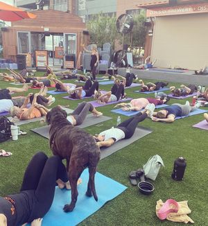 Image post by @yogapartylive on Instagram