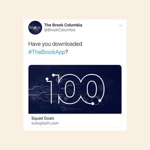 Image post by @wearethebrook on Instagram