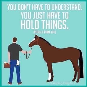 Image post by @equineidsolutions on Instagram
