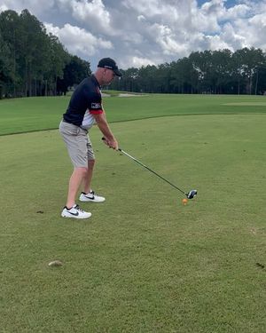 Image post by @jaxsharks on Instagram
