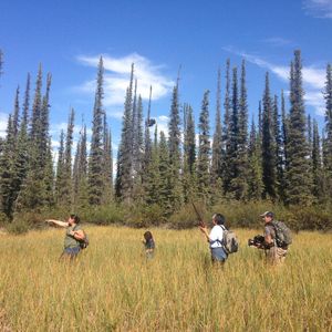 Image post by @discovery on Instagram