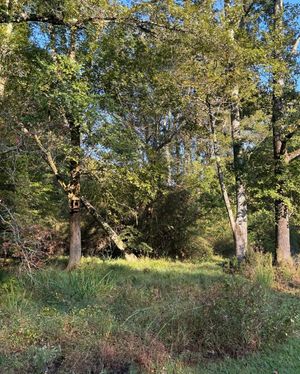 Image post by @ugagolfcourse on Instagram
