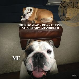 Image post by @totwpetfood on Twitter