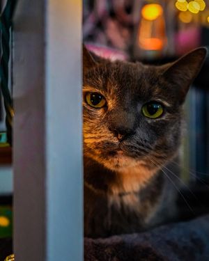 Image post by @nicolezaayerphotography on Instagram