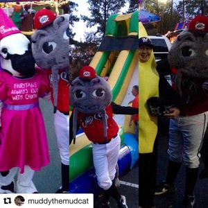 Image post by @carolinamudcats on Instagram