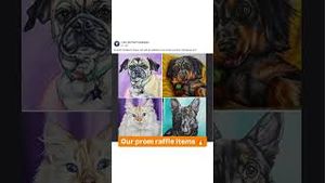 Video post by @livelikeroofoundation on YouTube